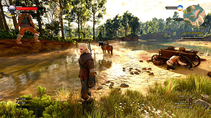 The Witcher 3 10_1_2026 8_23_50 PM